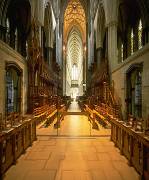 oakland wedding supply.